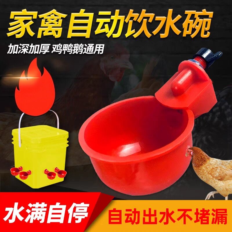 鸡鸭鸽鹌鹑通用自动饮水碗