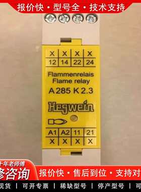 可维修Hegwein 火焰继电器A285K2.3，质保三议价