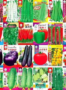 蔬菜种子四季播盆栽阳台庭院营养土种香菜豆角韭生菜葱菠菜籽大全