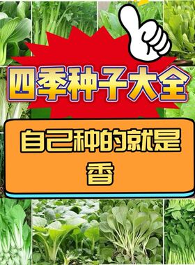 83种开春季菜子茄植物种子套餐丝瓜黄瓜辣椒豆角春蔬蔬玉种米子农