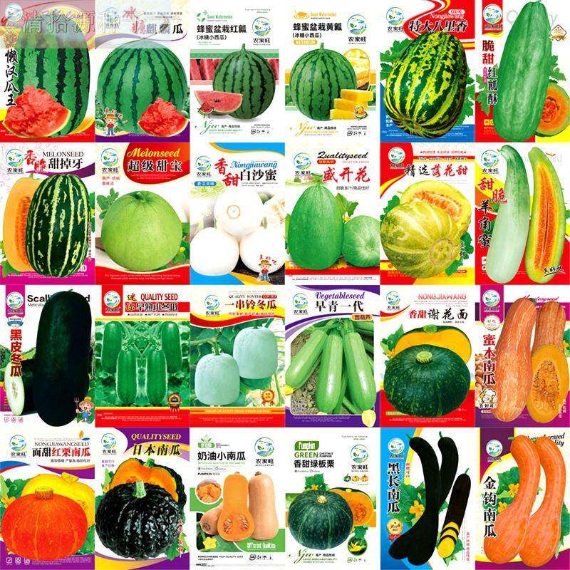 5包 蔬菜种子白菜玉米豆角辣椒生菜葫芦黄瓜土壤种苗瓜果四季大全图片