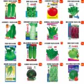 蔬菜种子四季 易种盆栽植物庭院阳台番茄甜瓜黄瓜籽大全去虫 播春季