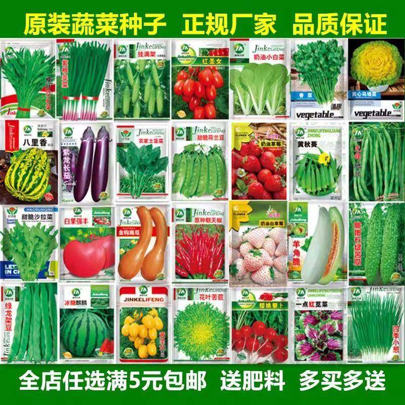 蔬种子四季菜阳台盆栽番茄黄瓜生菜小葱萝卜籽孑大全香葱菜籽黄心,鲜花速递/花卉仿真/绿植园艺,土壤覆盖物,淘宝优惠券,粉丝福利购,淘宝优惠卷