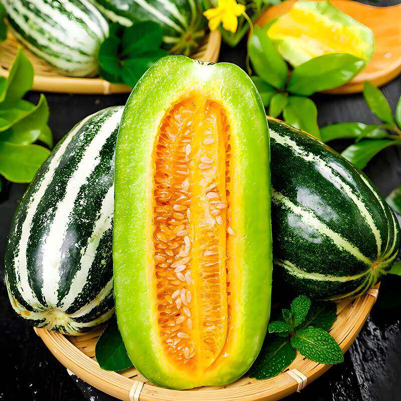 方震四种香瓜种子高产庭院阳台甜掉牙甜瓜种季子冰糖甜瓜种子