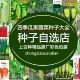 四季 蔬菜种子大全室内外阳台庭院土壤播种香菜生菜草莓辣椒菜种子
