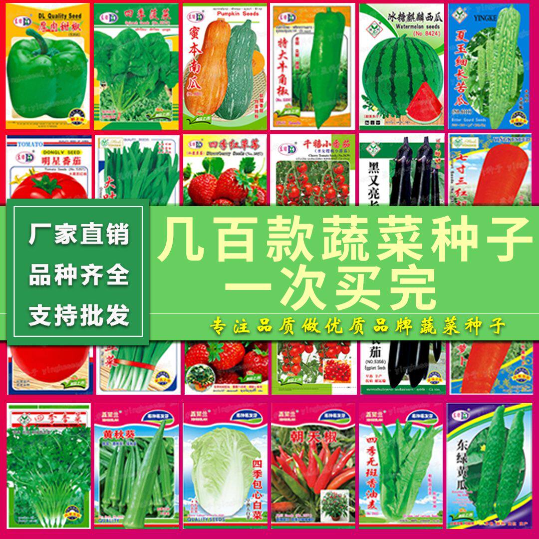 61种开春季春蔬菜种子海藻水培套餐丝瓜黄瓜辣椒豆角蔬玉种米子农