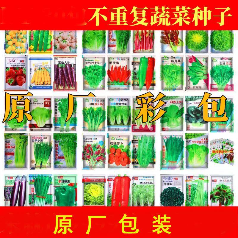 菜籽种子大全蔬菜四季播种园艺用品萝卜香菜籽种生菜葱蒜辣椒白菜