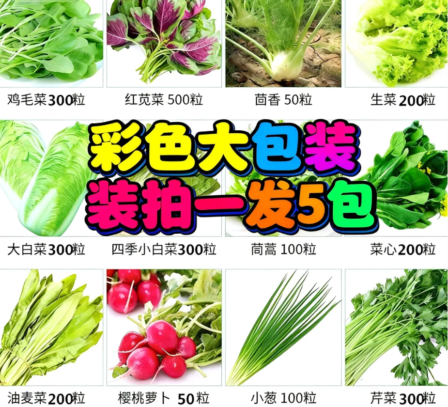 5包 蔬菜种子四季种播阳台庭院土壤盆栽黄瓜豆角番茄甜瓜种籽大全