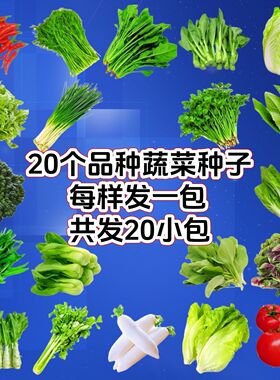 76种开春辣季春蔬菜子套丝餐瓜黄瓜椒蔬豆角玉种米茄子农土培土壤