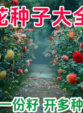 5包 各种彩袋包装花卉种子四季播阳台庭院园艺用品耐寒耐热多年生