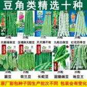 蔬菜种子菜番茄辣椒香菠菜黄瓜青菜籽生菜罗卜大白菜四季 播种肥全