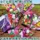 花卉种子园艺用品花籽四季 种满天星太阳花波斯菊雏菊百日草向日葵
