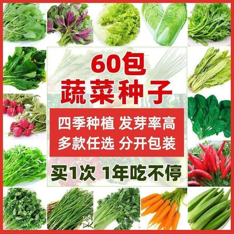 66种开春季春蔬菜子套装丝瓜黄瓜辣椒蔬豆角玉种米茄子农家菜肥料