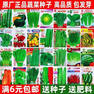 四季蔬菜种子大全家庭菜园艺用品青菜萝卜白菜夏秋耐热瓜果菜种籽
