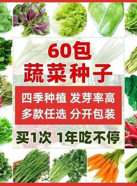 66种开春R季春蔬菜子套餐丝瓜黄瓜辣椒HIC蔬EAT豆角玉种米茄子农