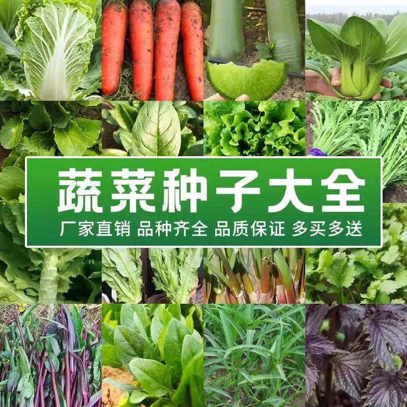66种开春季春蔬菜子套餐丝瓜瓜辣椒HIC种R蔬EAT豆角玉米黄茄子农,鲜花速递/花卉仿真/绿植园艺,土壤覆盖物,淘宝优惠券,粉丝福利购,淘宝优惠卷
