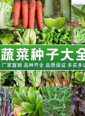 66种春季春蔬子套餐丝瓜黄开瓜辣菜椒HICR蔬EAT豆角玉种米茄子农