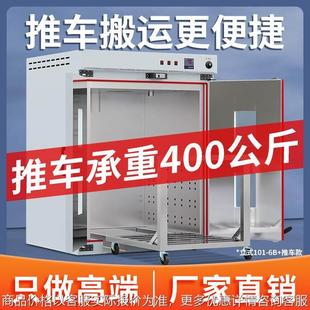 6工业烘箱恒温物资药材烘干箱 101 电热鼓风干燥箱实验室新款 立式