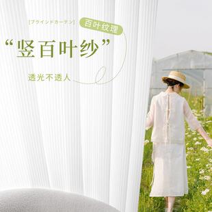 2024新款竖百叶纱帘透光不透人卧室窗帘纱法式客厅阳台白色纱帘帘
