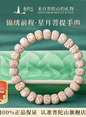 普陀山星月菩提手串单圈文玩手链