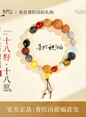 普陀山正品十八籽手串女款多宝菩提佛珠文玩手链男生日送礼物