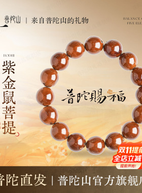 普陀山紫金鼠菩提手串招财手链
