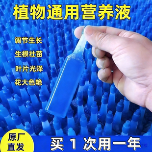 植物再生剂复活液花卉绿植盆栽通用光杆发黄发财树多肉生长营养液