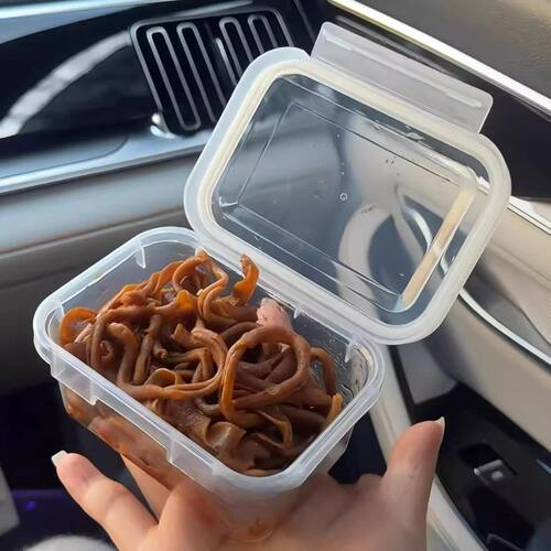 便携食品级冰箱冷冻密封保鲜盒