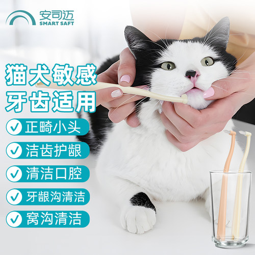 宠物单束牙刷尖头小头猫咪狗狗用