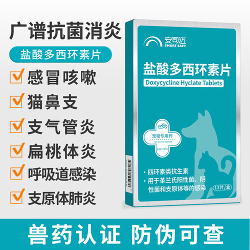 猫咪狗狗感冒咳嗽支气管炎猫鼻支