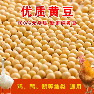 炒黄豆熟黄豆鸽粮信鸽专用粮营养鸽子粮赛粮鸽粮烘焙黄豆原豆颗粒
