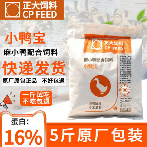正大饲料241小鸭宝宠物小黄鸭子