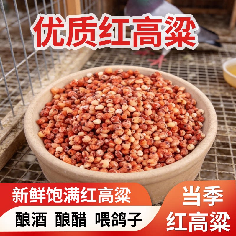 带壳红高粱白高粱带皮鹦鹉粮鸟食鸟粮仓鼠零食鸽粮鸽饲料赛鸽信鸽