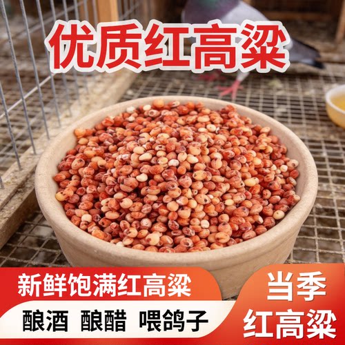 带壳红高粱白高粱带皮鹦鹉粮鸟食鸟粮仓鼠零食鸽粮鸽饲料赛鸽信鸽