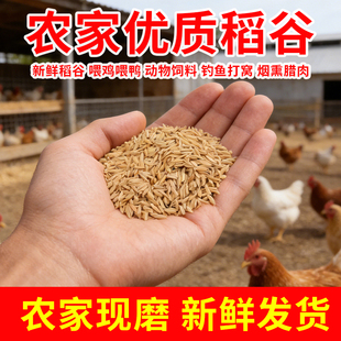 稻谷水稻带壳稻子粮食大米谷子喂鸡鸽粮喂鸽鸡鸭鹅鸟仓鼠宠物饲料