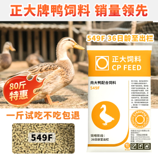 鸭子饲料大鸭中大鸭549F颗粒柯尔鸭专用粮宠物鸭饲料