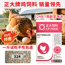 正大324蛋鸡饲料产蛋鸡补钙颗粒下蛋鸡全价料中大鸡鸡食玉米碎粒