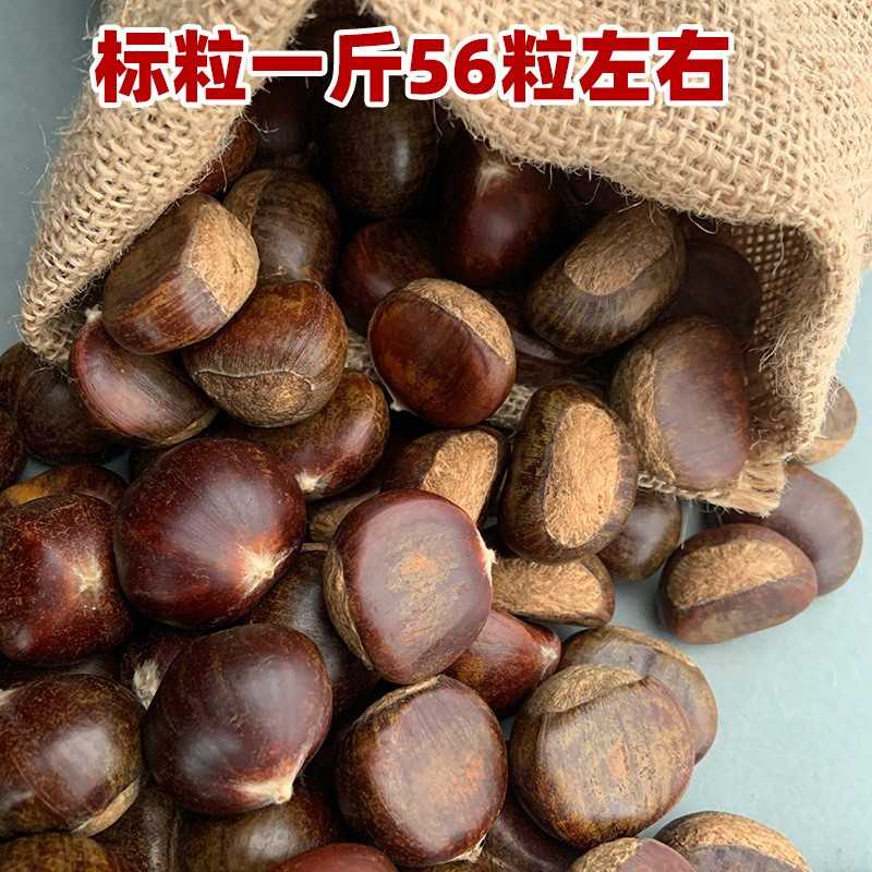 迁西板栗新鲜生2024年新鲜板栗栗子生新鲜板栗生板栗燕山油栗新货