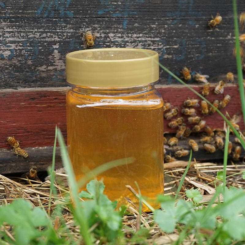 土蜂蜜500g散装洋槐蜂蜜农家纯正鸭脚木蜂蜜 荆条蜂蜜龙眼蜜