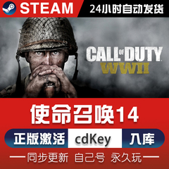 使命召唤14二战 steam正版CDK激活码入库COD14全剧情战役单机游戏