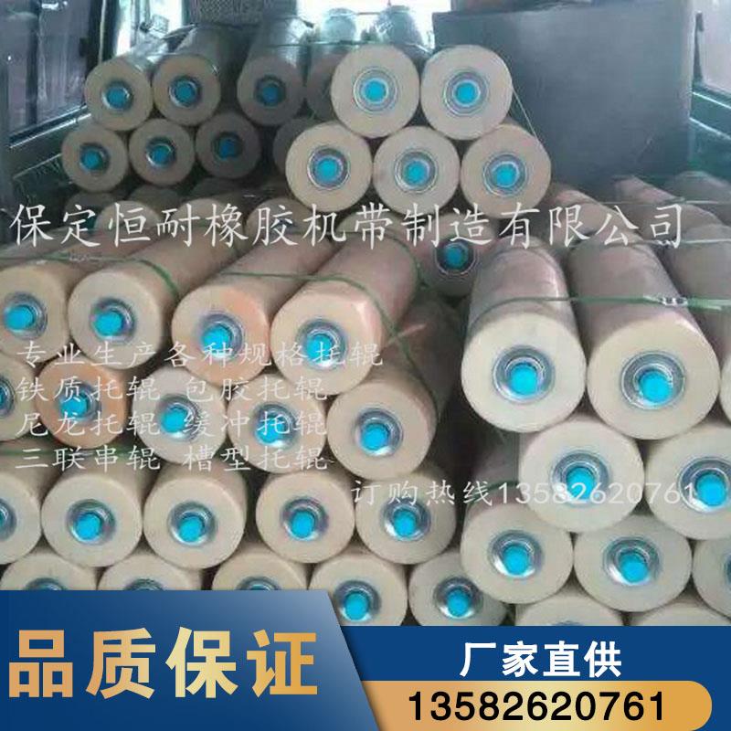 尼龙托辊 无动力托轮滚筒防水防尘托辊 89高分子包胶梳型托辊定制