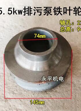 5.5kw无堵塞排污泵叶轮22轴孔145*74泥浆泵铁水轮水叶污水泵配件