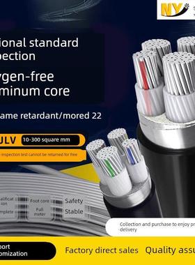 南洋国家标准Yjlv铝芯电缆2 3 4 5芯10 16 25 70方铠装22三相四线