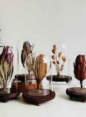 样板间轻奢植物标本装饰品玻璃罩摆件花艺中草药覆古简约标摆件