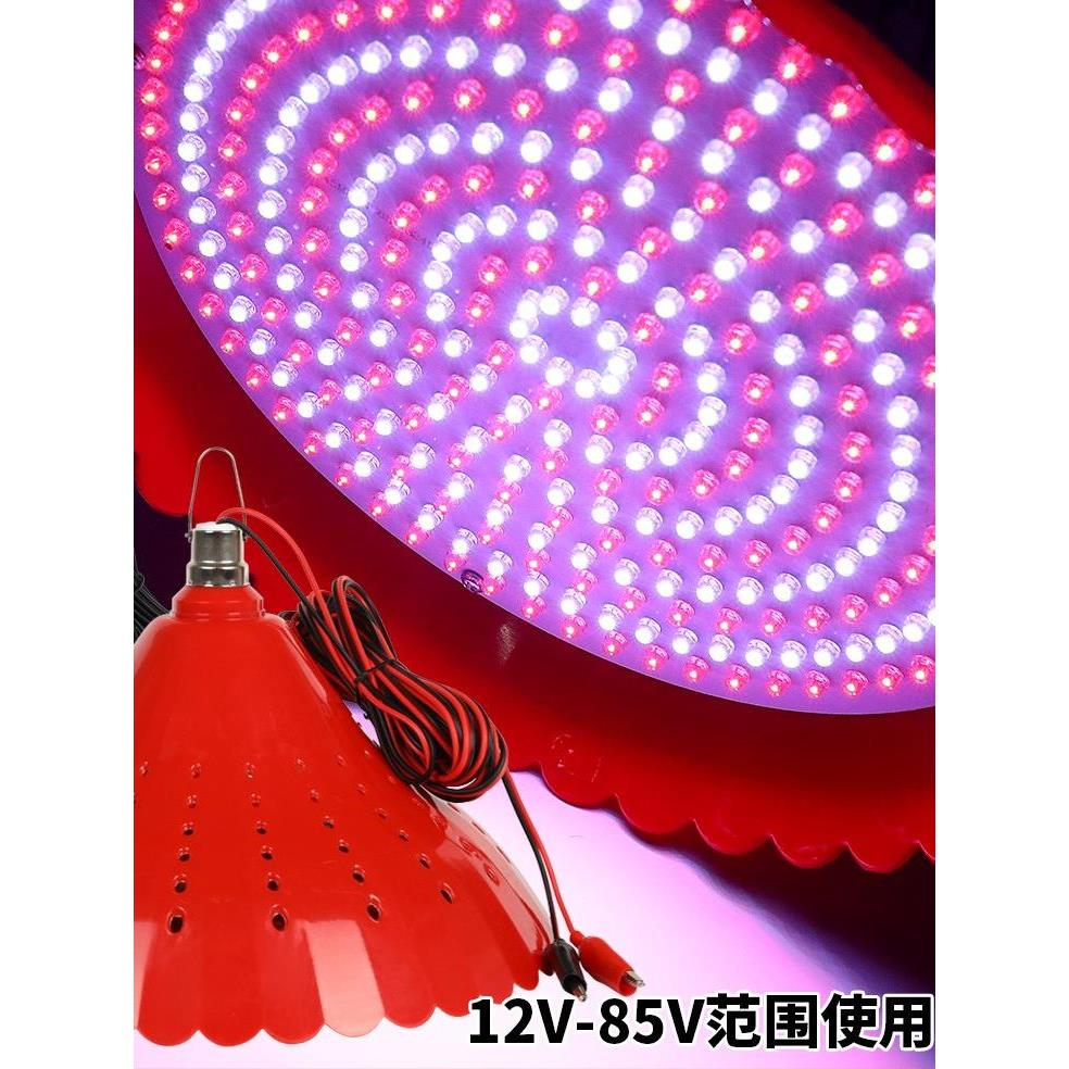 12VLED可调色水果灯夜市灯电动三轮车48V72v生鲜灯红色灯地摊灯