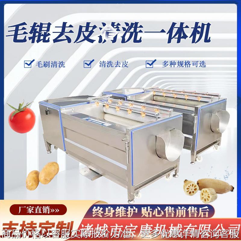 毛辊去皮清洗机 胡萝卜紫薯清洗机械 生姜土豆莲藕清洗去泥机器