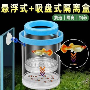 隔离盒孵化盒孔雀鱼新款隔离悬浮幼鱼产房鱼苗悬浮式漂浮孵化悬浮