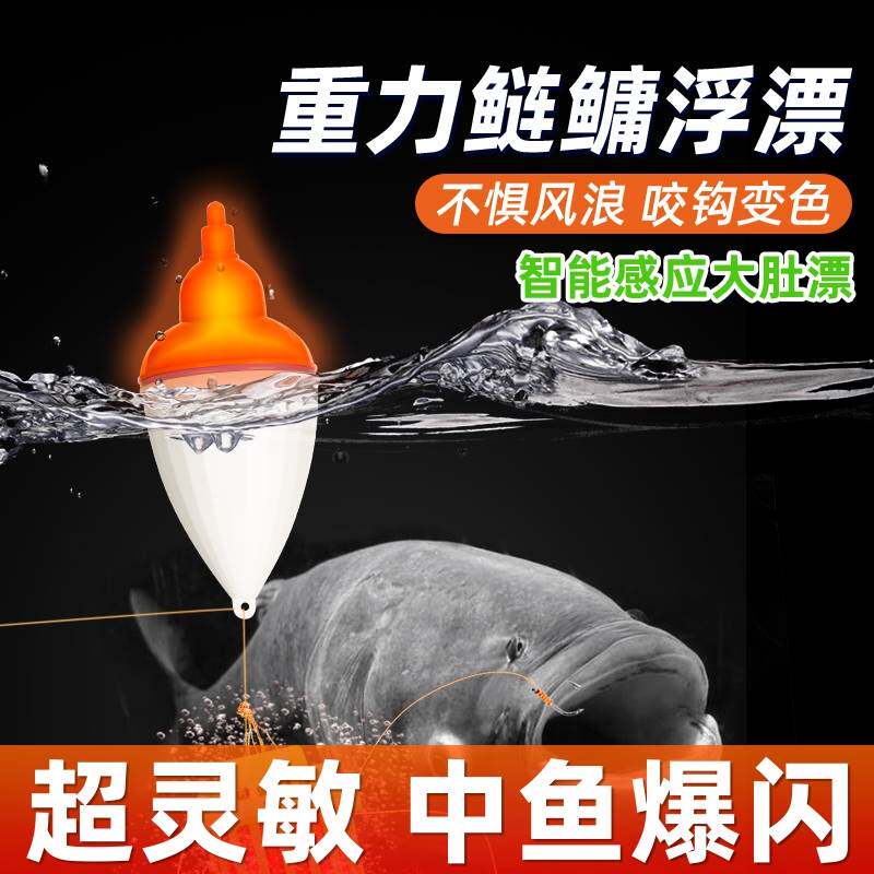 进口?矶钓浮漂电子夜光阿波漂大肚漂海杆矶竿海钓远投鱼漂鲢鳙日