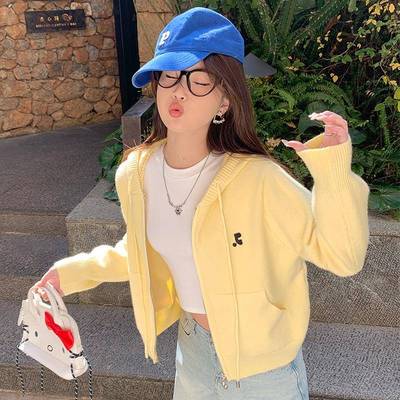 苏三三 针织开衫2025新款毛衣外套春季女装初春韩系穿搭连帽上衣