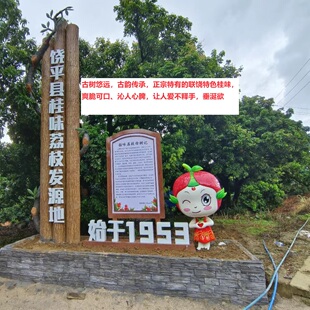 潮州联饶脆甜桂味荔枝新鲜现摘当季中大特大果水果包邮
